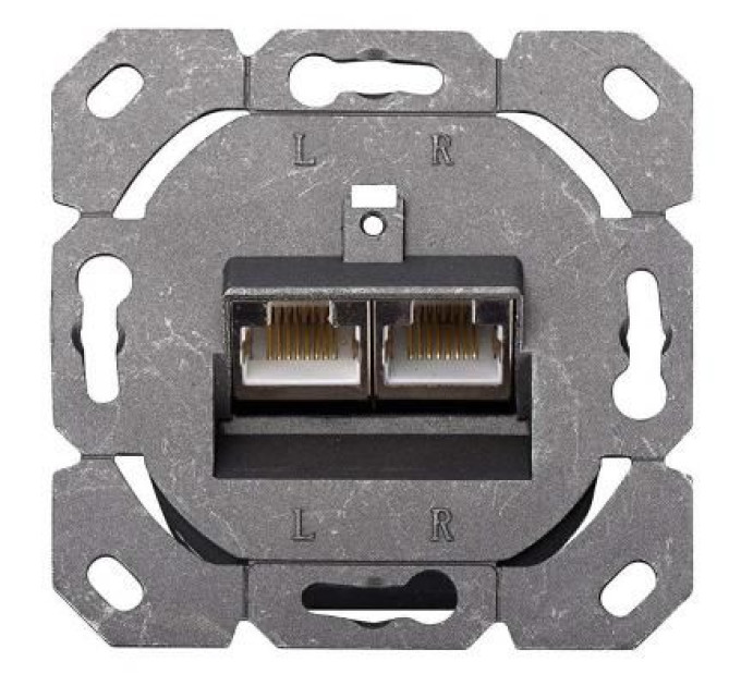 Assmann Комп'ютерна розетка Digitus 2xRJ45 STP, cat. 6, для відкритої проводки (DN-9006-N)