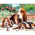 Sequin Art Набір для творчості Sequin Art PAINTING BY NUMBERS SENIOR Basset Hounds (SA0044)