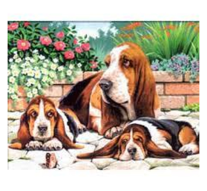 Sequin Art Набір для творчості Sequin Art PAINTING BY NUMBERS SENIOR Basset Hounds (SA0044)
