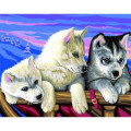 Sequin Art Набір для творчості Sequin Art PAINTING BY NUMBERS SENIOR Huskies (SA1036)