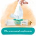 Дитячі вологі серветки Pampers Harmonie Protect&Care з календулою 4 пачки х 44 шт (8700216250580)