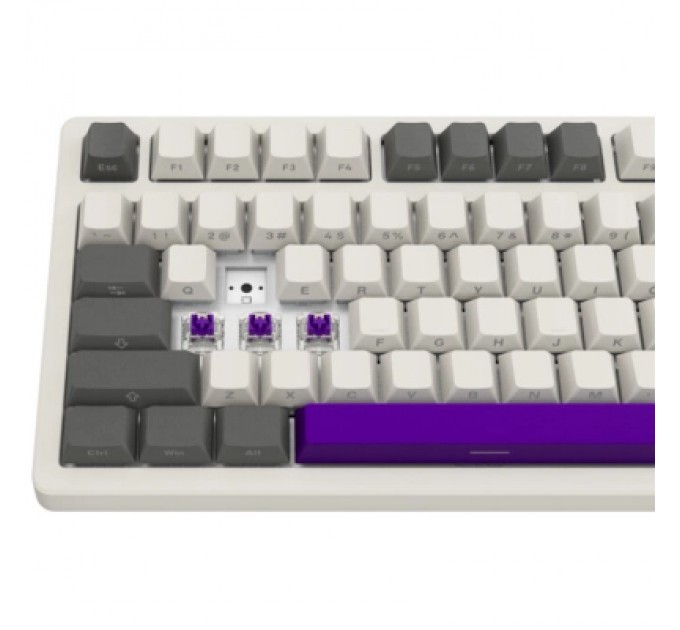Клавіатура Lorgar KBP70TKLW Wireless TKL Mechanical Pro UA Beige (LRG-KBP70TKLW-RT-US)