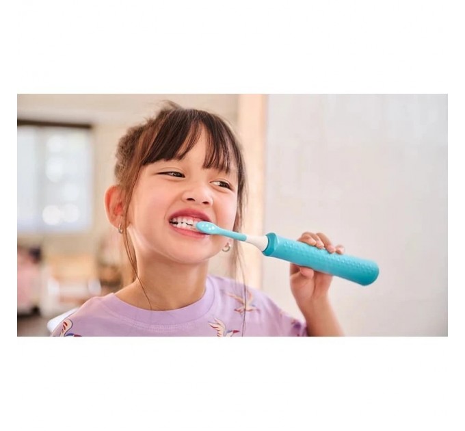 Philips Насадка для зубної щітки Philips HX6042/90