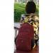 Sumdex Рюкзак для ноутбука Sumdex 16" PON-391 burgundy-yellow (PON-391OR)