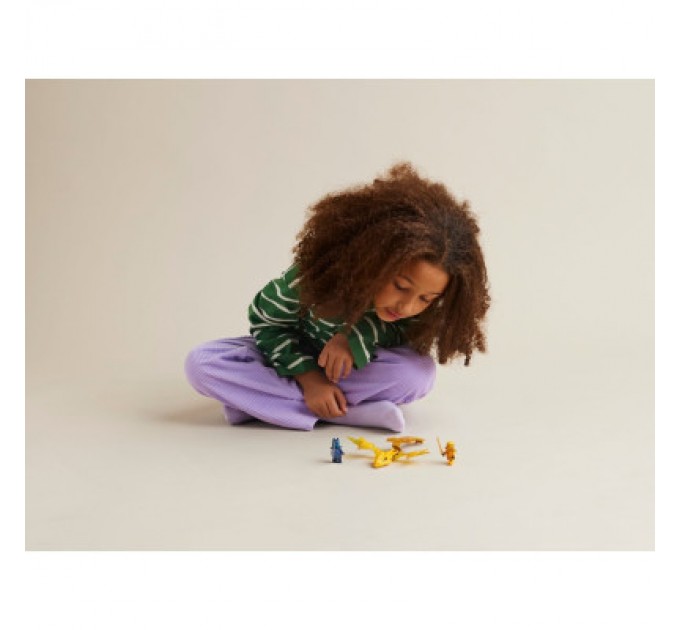 LEGO Конструктор LEGO NINJAGO Атака повсталого дракона Аріна 27 деталей (71803)