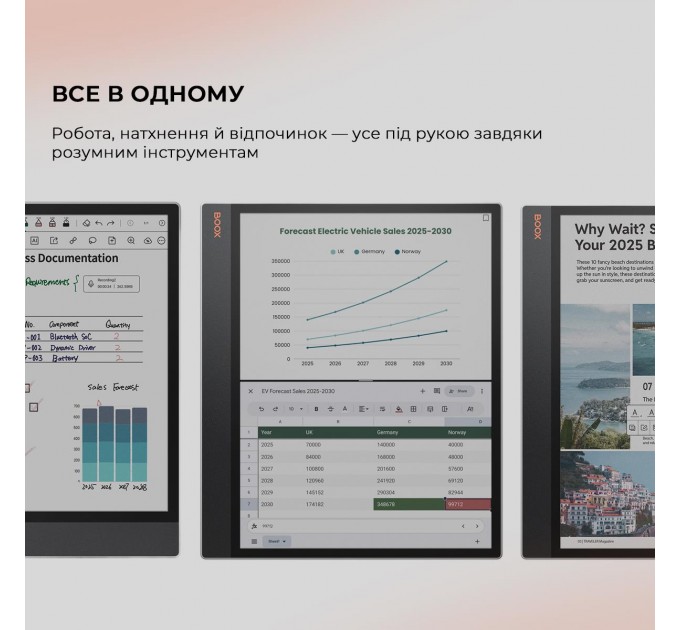 Електронна книга BOOX Tab X С