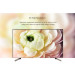 Ugreen Перехідник USB2.0 Type-C to HDMI V1.4b 40273 white Ugreen (40273)