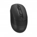 A4Tech Миша бездротова A4Tech FB10CS Stone Black