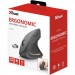 Trust Мишка Trust Verto Wireless Ergonomic Black (22879)