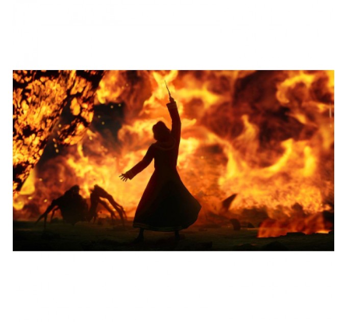 Nintendo Гра Nintendo Hogwarts Legacy Deluxe Edition, картридж (5051895415597)