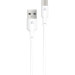 ACCLAB Дата кабель USB 2.0 AM to Type-C 1.2m PwrX 30W ACCLAB (1283126559532)