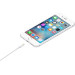 Apple Дата кабель Lightning to USB 1.0m Model A1480 Apple (MUQW3ZM/A)