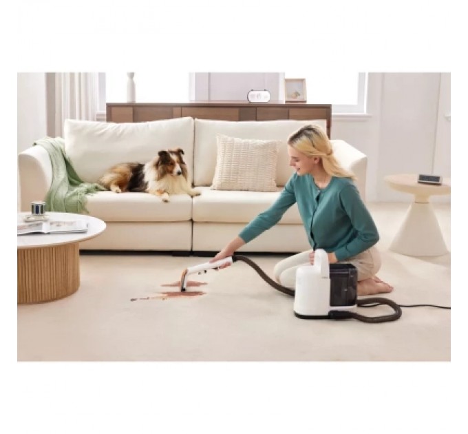 Tineco Пилосос Tineco iCarpet One Spot (SC050300DE)