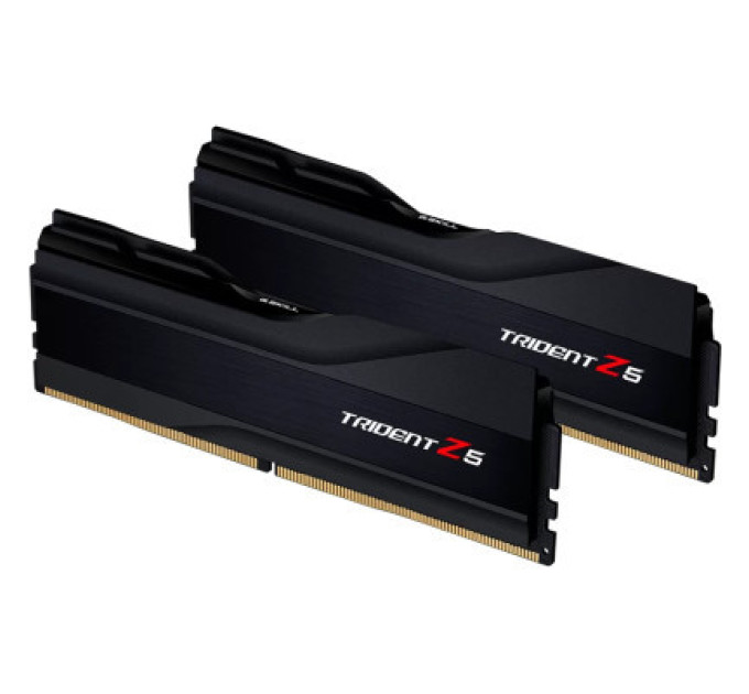 G.Skill Модуль пам'яті для комп'ютера DDR5 32GB (2x16GB) 5600 MHz Trident Z5 Silver G.Skill (F5-5600J4040C16GX2-TZ5S)