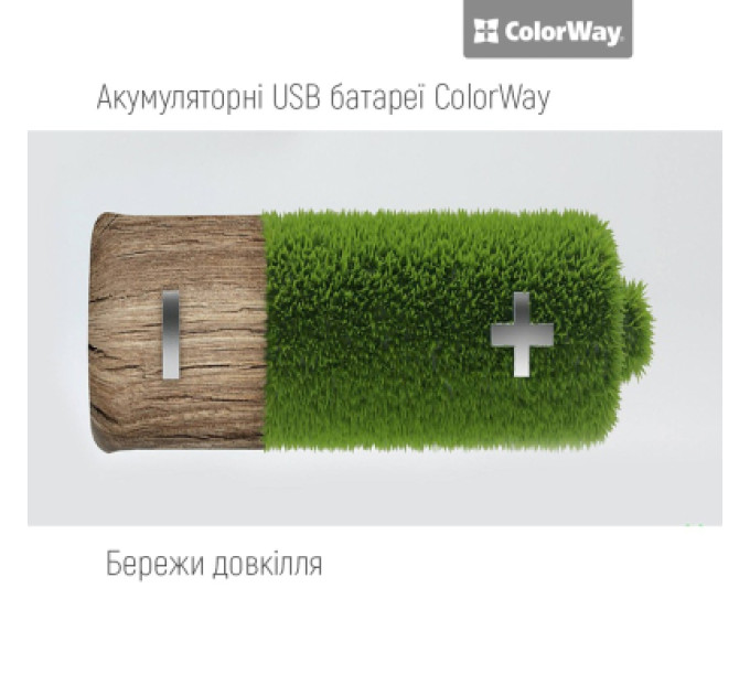 ColorWay Акумулятор ColorWay AAА USB-С 590 mAh 1.5V (2шт) (Li-Polymer) (CW-UBAAA-09)
