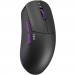 Dark Project Мишка Dark Project Novus Pro Wireless Black (DPP_Novus_PRO_BB)