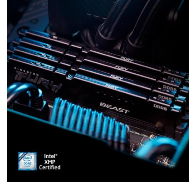 Kingston Fury (ex.HyperX) Модуль пам'яті для комп'ютера DDR5 64GB (2x32GB) 5600 MHz Fury Beast Black Kingston Fury (ex.HyperX) (KF556C36BBE2K2-64)