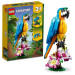 LEGO Конструктор LEGO Creator Екзотичний папуга 253 деталі (31136)