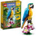LEGO Конструктор LEGO Creator Екзотичний папуга 253 деталі (31136)
