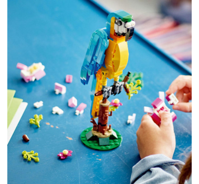 LEGO Конструктор LEGO Creator Екзотичний папуга 253 деталі (31136)